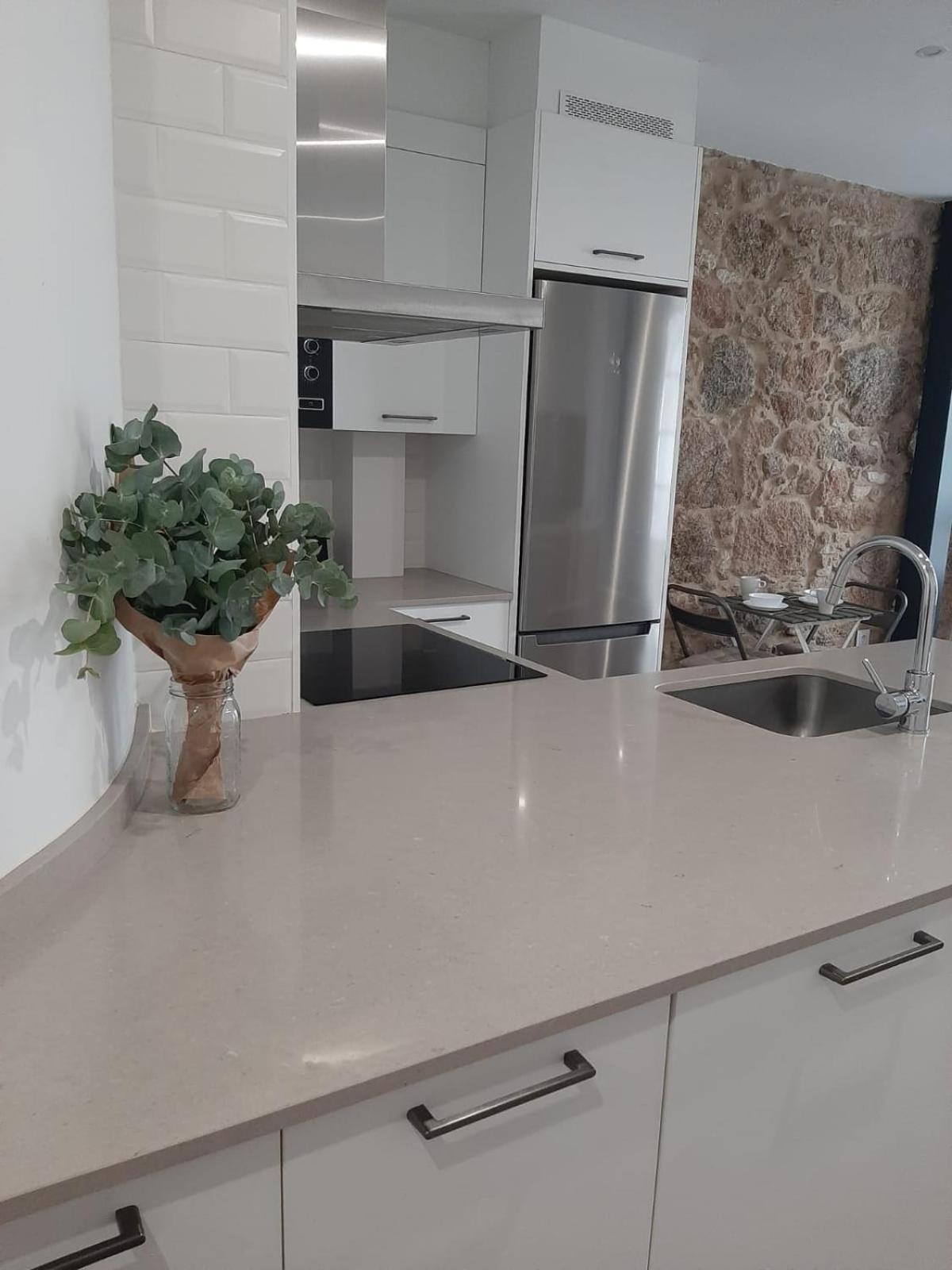 ア・コルーニャPreciosa Vivienda En El Centro De La Ciudadアパートメント エクステリア 写真